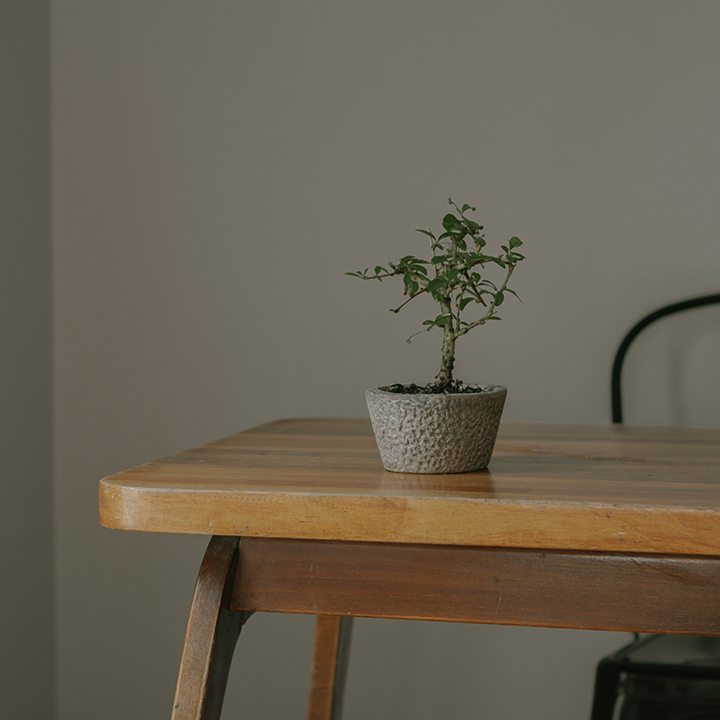 pin image