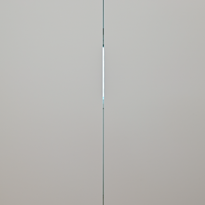 pin image