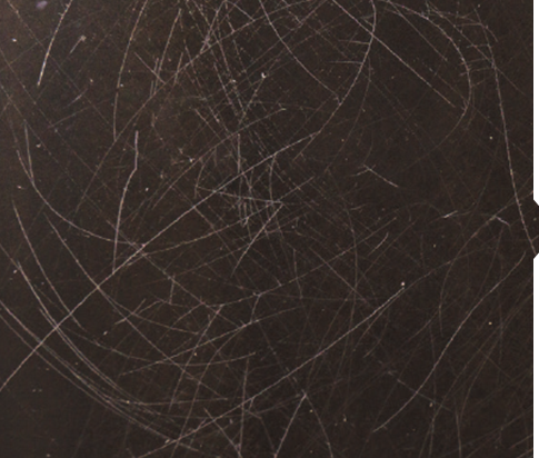 기존 자사 보타닉