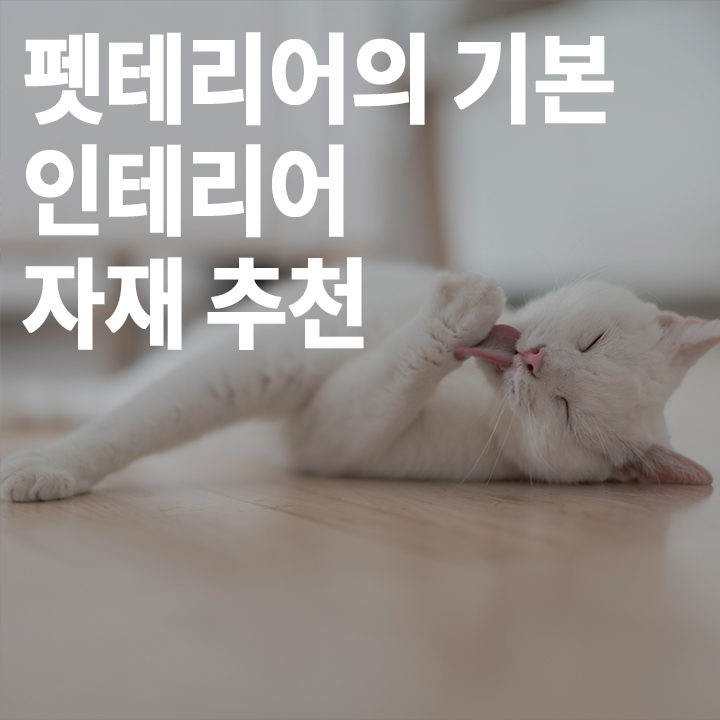 [중급] 펫테리어를 위한 인테리어 자재 추천