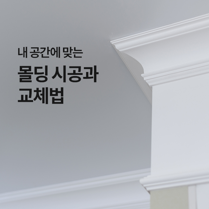 몰딩 선택부터 시공, 교체 방법까지 한눈에 정리