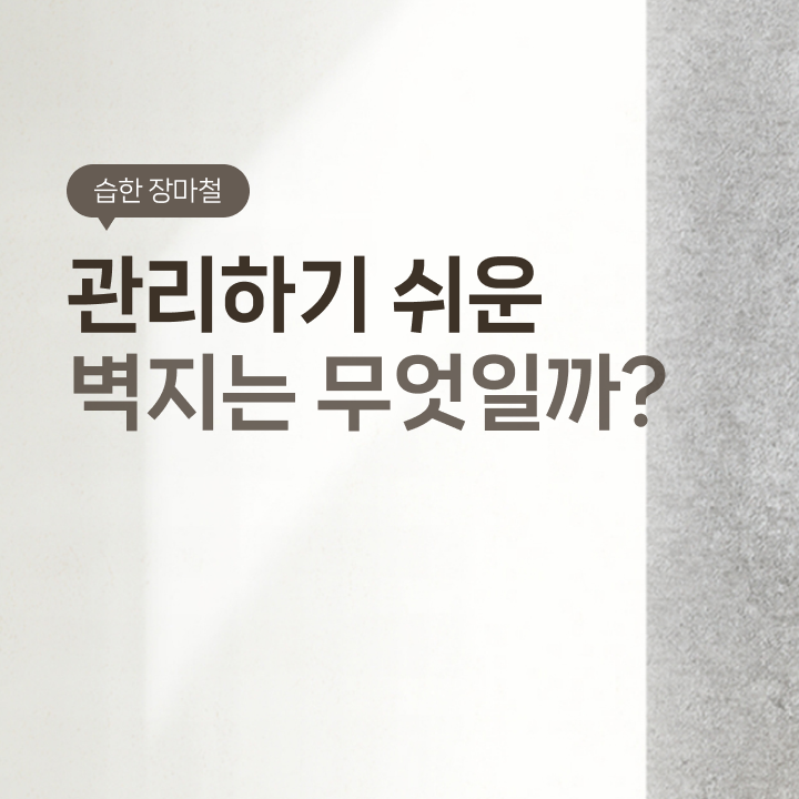 장마철 습기부터 생활 오염까지, 벽지 선택 전 확인해야 할 기준