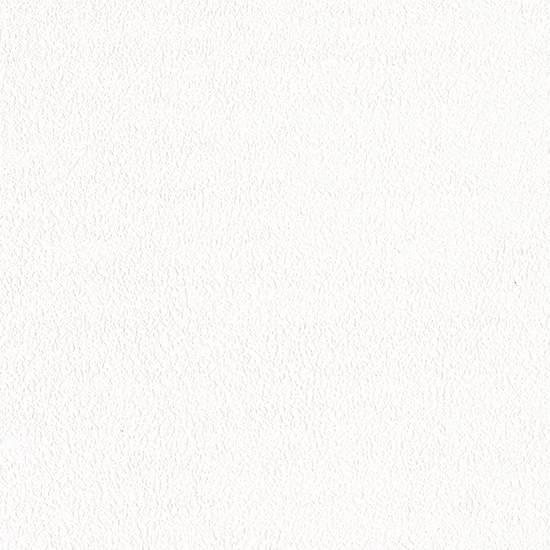 페인팅/펄 화이트