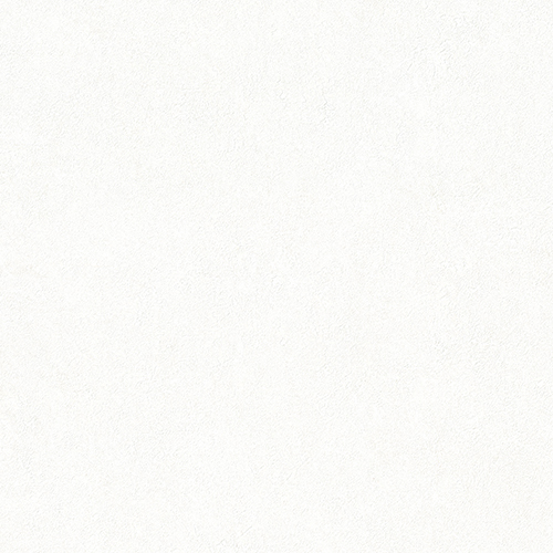 샌드 스톤/페일 화이트