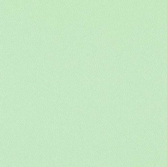 리얼 매트 패인트/허브 민트