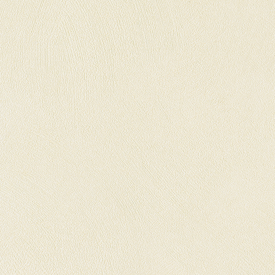 브러쉬 회벽/애쉬 크림