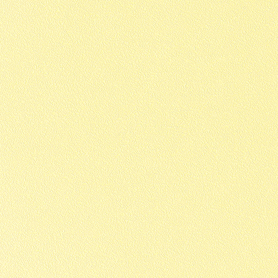 더 리얼 페인트/버터 옐로우