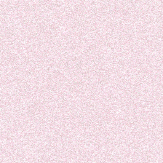 더 리얼 페인트/토슈즈 핑크