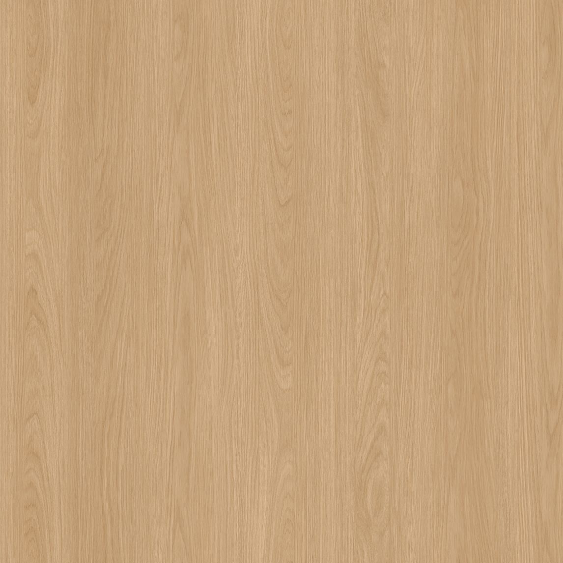 스탠다드라이트 (비방염)