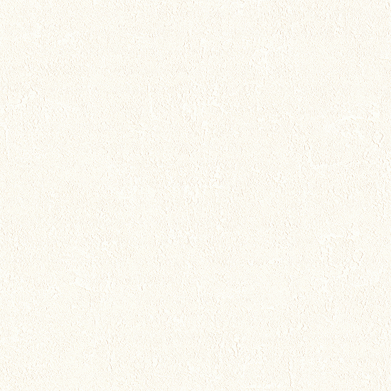 샌디 아이보리
