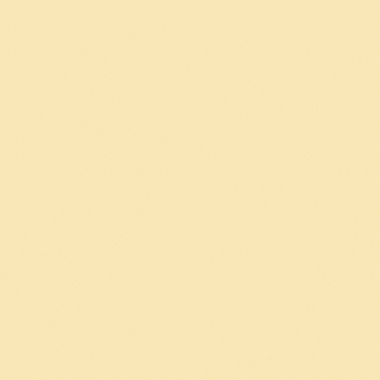 솔리드 | 비방염 | ES187